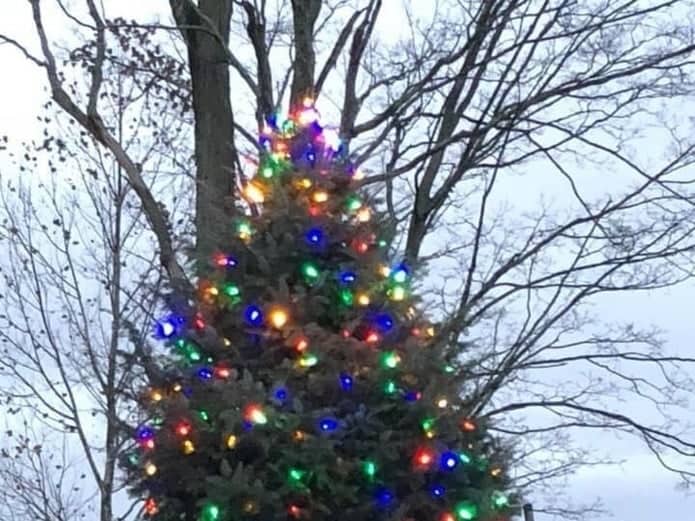 32nd Annual Tree Lighting